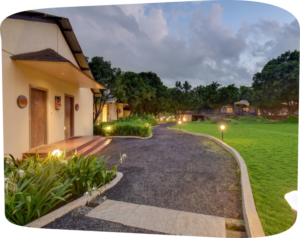 tiki farms room