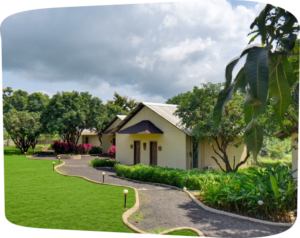 tiki farms room