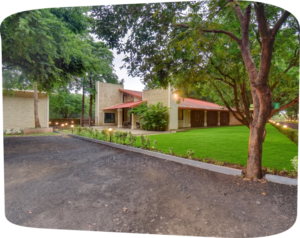 Premium Bungalow 1